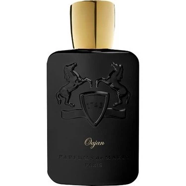 Parfums De Marly Oajan EDP 125 ml Erkek Parfüm ürün görseli 1