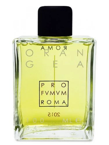 Profumum Roma Orangea 100 ml EDP Unisex Parfüm ürün görseli 1