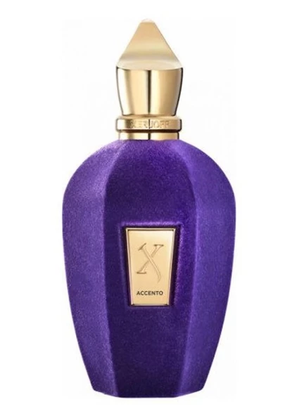 Xerjoff Accento EDP 100 ml Unisex Parfüm ürün görseli 1