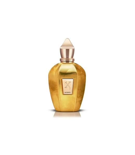 Xerjoff Accento Overdose EDP 100 ml Unisex Parfüm ürün görseli 1