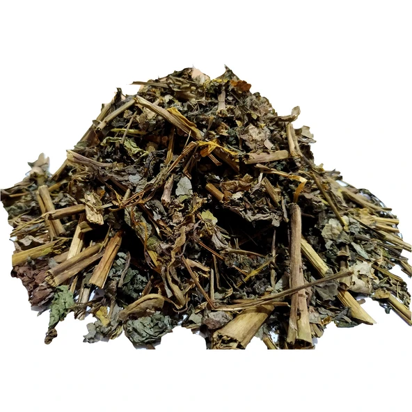 Kırlangıç Otu Doğal 100 Gr Paket - Resim 5