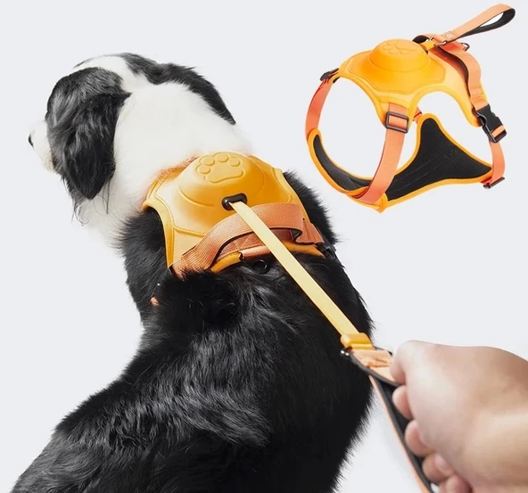 Bauwelt Köpek Tasması Gövdelik Ve Göğüslük Otomatik Toplama Rahat Ve Konforlu Yürüyüş Tasma ürün görseli 1