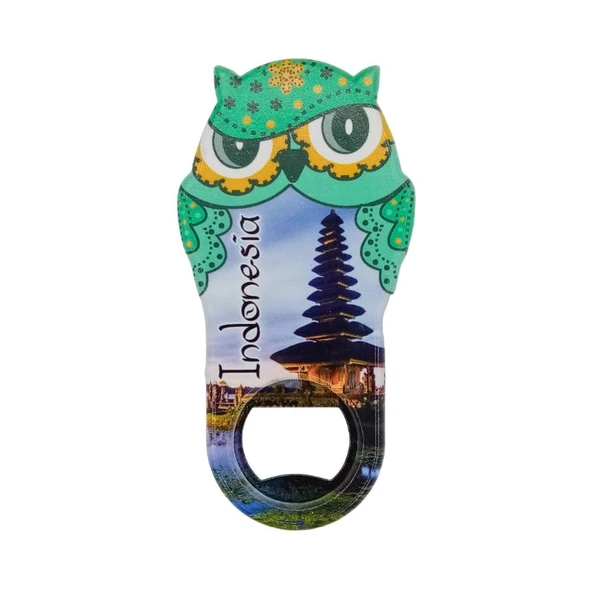 Endonezya Temalı Baykuş Magnet Kapak Açacak ürün görseli 1