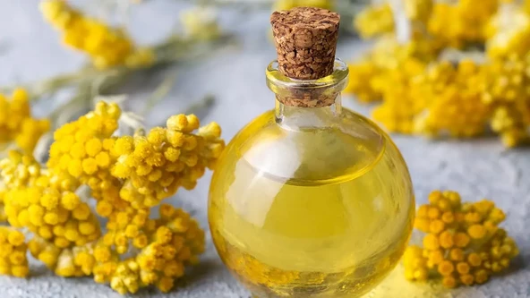 Eyüp Ensar  ALTIN OTU ÇİÇEĞİ  270 GR - Resim 3