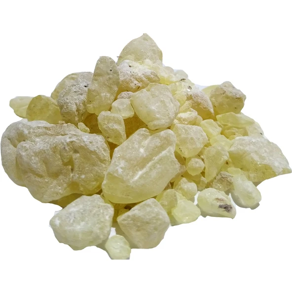 Sandaloz Sakızı Doğal 100 Gr Paket ürün görseli 1