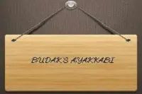 Budak’s Ayakkabı
