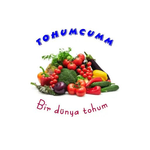 Tohumcumm