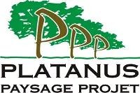 PLATANUS PAYSAGE