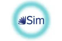 SİM DTM