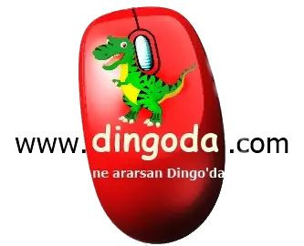 dingoda