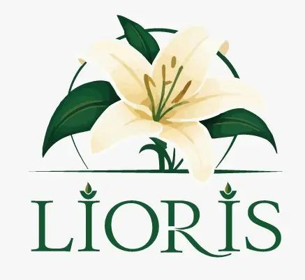 LİORİS TABLET MENDİL