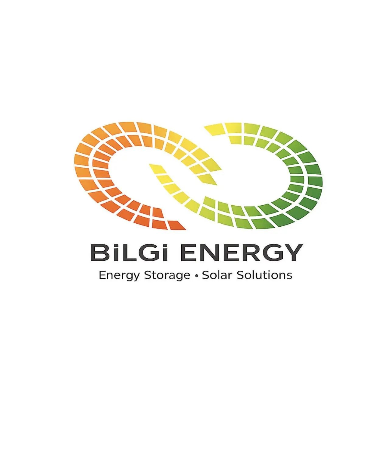 Bilgi Enerji