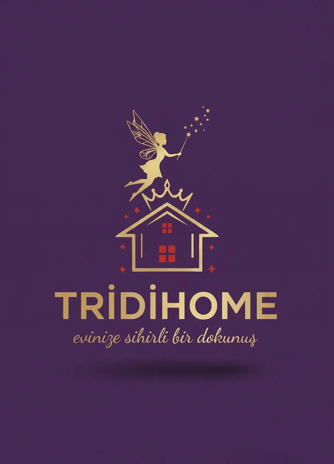 Tridihome