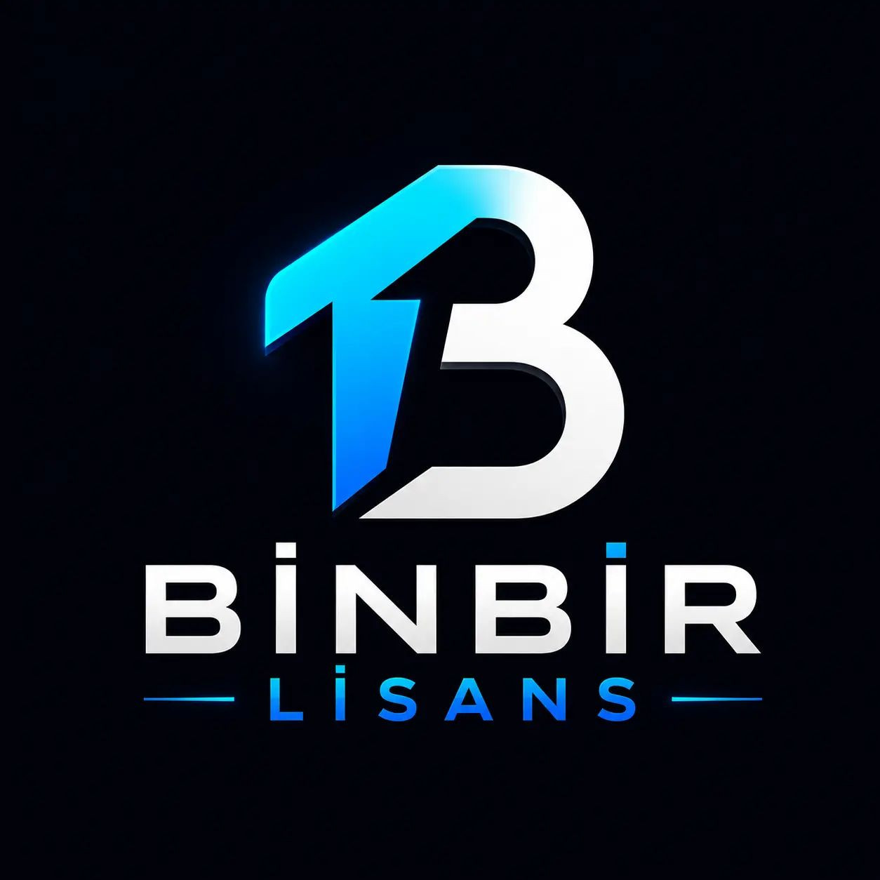 Binbir Lisans
