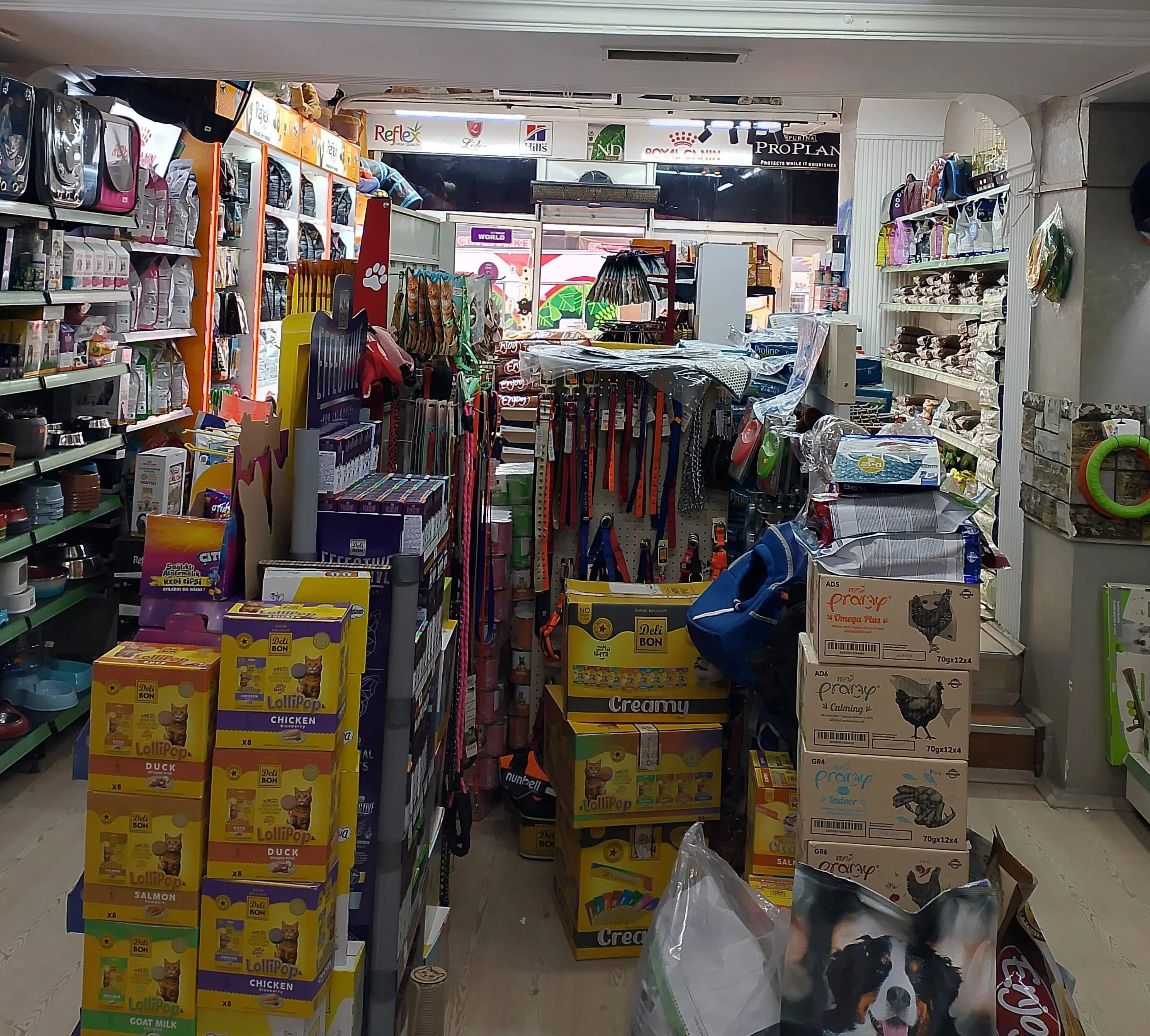 ATOM KARINCA PET MARKET