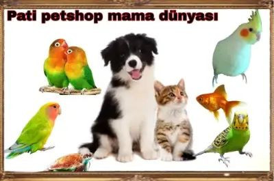 PATİ PETSHOP MAMA DÜNYASI