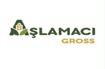 AŞLAMACI GROSS