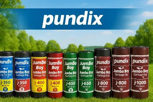 Pundix