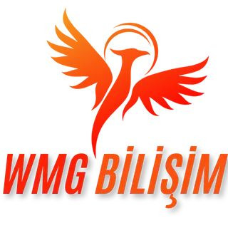 wmg bilişim