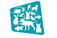 Yakamoz Petshop