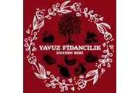 YAVUZ FİDANCILIK 07