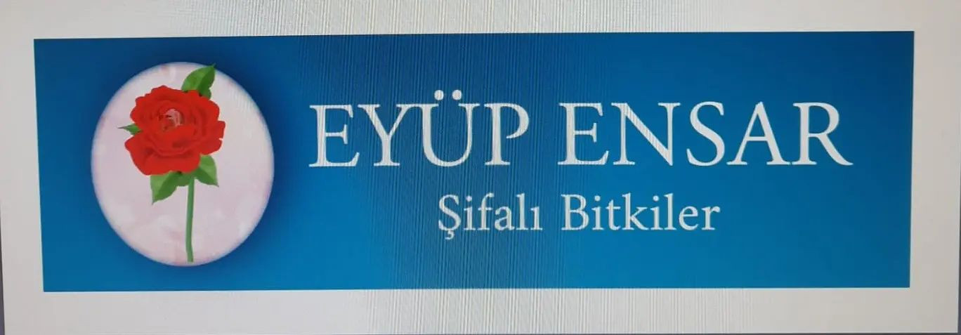 Eyüp Ensar Aktar