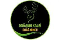Fırsat kapısı
