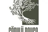 Köklü Bahçe