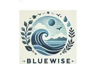 BlueWise Teknoloji