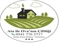Ata İle Ova nın Çiftliği