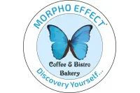 Morpho Effect Group