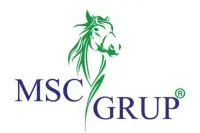 Msc Grup